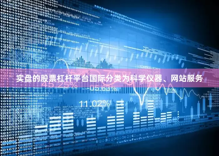 实盘的股票杠杆平台国际分类为科学仪器、网站服务